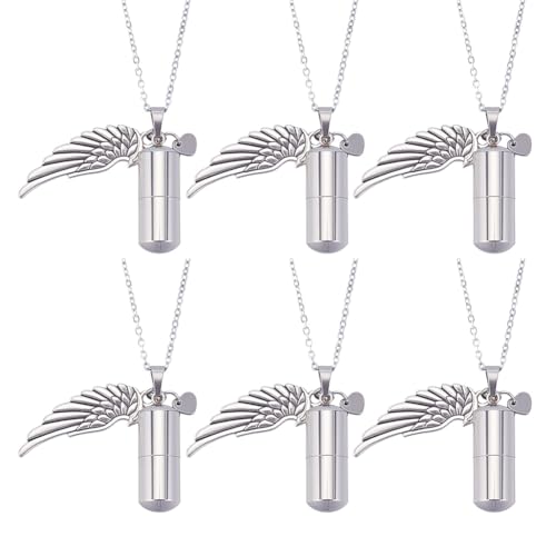 nbeads 6 Sets Euerbestattung Urnenketten, 304 Edelstahl Haustier Gedenkstätte Asche Halter Memorial Einäscherung Keepsake mit Flügel Charms für Haustier, 45cm von nbeads