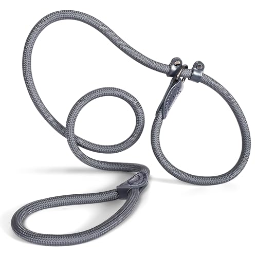 Retrieverleine 150 cm für große & kleine Hunde – Halsband mit integrierter Leine – Slip Leash & Trainingsleine Hund – Führungsleine für Labrador & Retriever - Ruckdämpfer (Anthrazit, ab 15 Kg) von ne&no