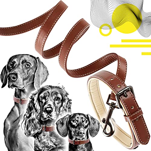 ne&no® Halsband und Leine Set (veganes Leder) Hundeleine mit Halsband I robuste Hundeleine mit Karabiner I Hundehalsband verstellbar I 1.2m Dog Leash I biegsam und extra weich (M, braun/beige) von ne&no