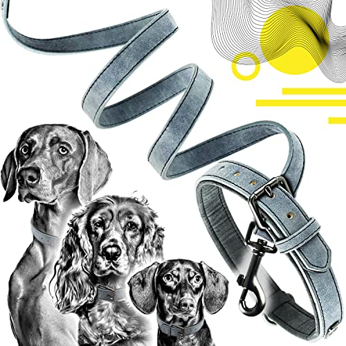 ne&no® Halsband und Leine Set (veganes Leder) Hundeleine mit Halsband I robuste Hundeleine mit Karabiner I Hundehalsband verstellbar I 1.2m Dog Leash I biegsam und extra weich (XL, blau/anthrazit) von ne&no