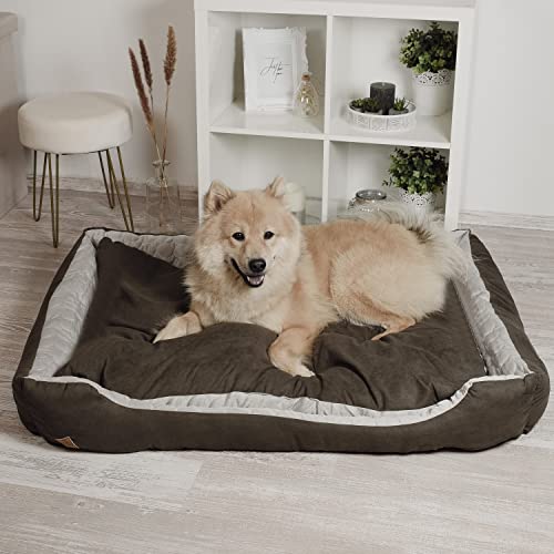 ne&no® Hundebett 2 in 1 [Kühlender und Wärmender Stoff] | Mittelgroße Hunde | Waschbar 80x60 | Bettchen Mittel | Hundekörbchen von ne&no