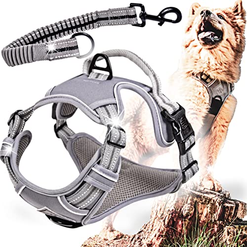 ne&no® Hundegeschirr mit passenden Ruckdämpfer [Developed by NE&NO] Hunde Geschirrset | Brustgeschirr für kleine und große Hund e | Geschirr Hund | Sicherheitsgeschirr (S) von ne&no