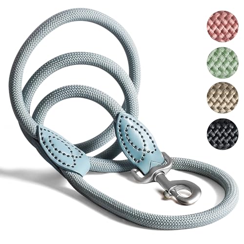 ne&no Tauleine 1.2m (leicht dehnbar) für mittelgroße bis ganz große Hunde I Trainingsleine I Hundeleine robust I Führleine rund, geflochten I Seil Leine Hund I Cityleine I Dog Leash Aqua, 120 cm von ne&no