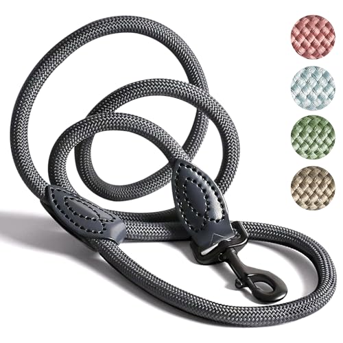 ne&no Tauleine für Hunde 1.7m I Trainingsleine I Hundeleine robust I Führleine rund, geflochten I Handschlaufe I Seil Leine Hund I Cityleine I Dog Leash (ANTHRAZIT, 170 cm) von ne&no