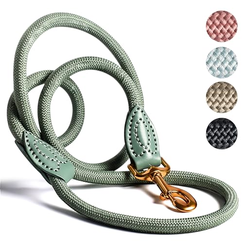 ne&no Tauleine für Hunde 1.7m I Trainingsleine I Hundeleine robust I Führleine rund, geflochten I Handschlaufe I Seil Leine Hund I Cityleine I Dog Leash (SALBEIGRÜN, 170 cm) von ne&no