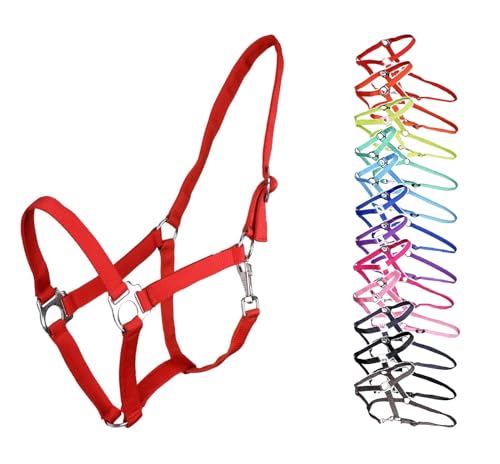 NETPROSHOP Halfter ODER Führstrick Einfarbig für Ihre Lieblinge Mini Shetty bis XL Full, Groesse:Mini Shetty, Farbe:Rot von NETPROSHOP