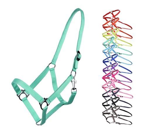 NETPROSHOP Halfter ODER Führstrick Einfarbig für Ihre Lieblinge Mini Shetty bis XL Full, Groesse:Mini Shetty, Farbe:Tuerkis NETPROSHOP Halfter ODER Führstrick Einfarbig für Ihre Lieblinge Mini Shetty bis XL Full, Groesse:Mini Shetty, Farbe:Tuerkis von NETPROSHOP
