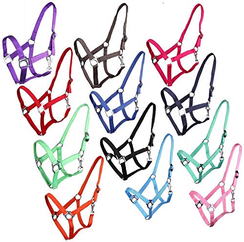 NETPROSHOP Halfter ODER Führstrick Einfarbig für Ihre Lieblinge Mini Shetty bis XL Full, Groesse:Pony, Farbe:Anthrazit von NETPROSHOP