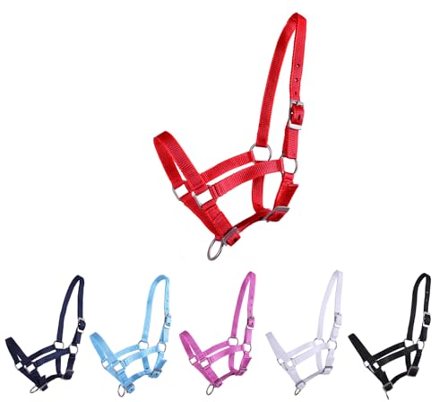NETPROSHOP Fohlenhalfter 3-Fach verstellbar Halfter für Fohlen Falabella Shetty Pony Full, Groesse:Fohlen Shetty, Farbe:Rot NETPROSHOP Fohlenhalfter 3-Fach verstellbar Halfter für Fohlen Falabella Shetty Pony Full, Groesse:Fohlen Shetty, Farbe:Rot von NETPROSHOP