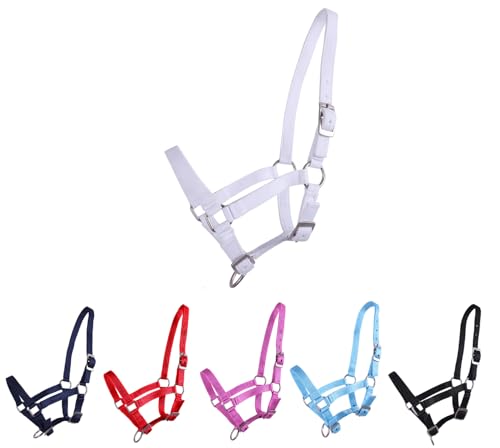 NETPROSHOP Fohlenhalfter 3-Fach verstellbar Halfter für Fohlen Falabella Shetty Pony Full, Groesse:Fohlen Shetty, Farbe:Weiss NETPROSHOP Fohlenhalfter 3-Fach verstellbar Halfter für Fohlen Falabella Shetty Pony Full, Groesse:Fohlen Shetty, Farbe:Weiss von NETPROSHOP