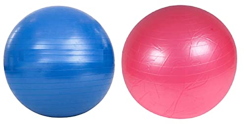 netproshop Power Play Ball Pferde Spielball Blau oder Rosa, Durchmesser ca. 90 cm, Farbe:Rosa von netproshop