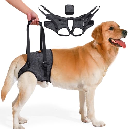 Hunde Hebegeschirr für Rückenbeine, Hunde Stützgeschirr Verstellbar Gehhilfe Hinterbeinbandage für Verletzte Ältere Hunde (Dunkelgrau, L) von nnOuOnn