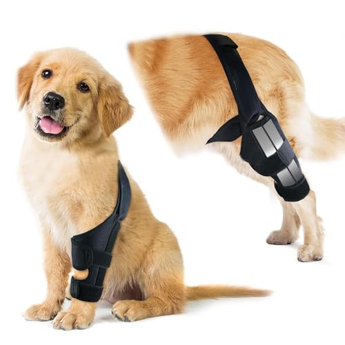 Hunde-Kniebandage für Hinterbeine, verstellbare ACL-Genesungshilfe für Hunderückenbeine, Kreuzbandstütze für verletzte ältere Hunde, warme Gelenk- und Linderungsschmerzen, Tauchtuch-Material (Schwarz Hunde-Kniebandage für Hinterbeine, verstellbare ACL-Genesungshilfe für Hunderückenbeine, Kreuzbandstütze für verletzte ältere Hunde, warme Gelenk- und Linderungsschmerzen, Tauchtuch-Material (Schwarz von nnOuOnn
