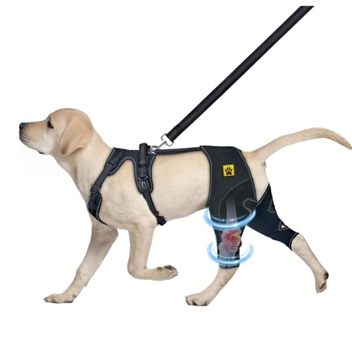 Hunde-Kniebandage für Kreuzband, Rücken- und Hinterbeinstütze, Schutz für zerrissene ACL-Verletzungen, Genesungshilfe, warme Gelenk- und Linderungsschmerzen, hochwertiges Tauchtuch (Schwarz, L) von nnOuOnn