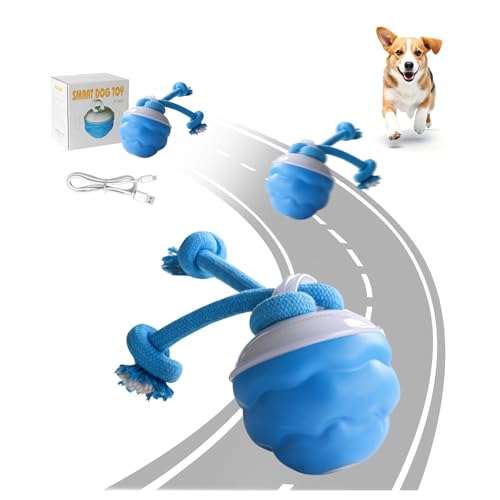 nnOuOnn Interaktives Hundespielzeug, Ball mit Bewegungsaktivierung, lustiges bewegliches intelligentes Hundespielzeug, aktiver rollender Ball, um sie zu beschäftigen, für große, mittelgroße und kleine nnOuOnn Interaktives Hundespielzeug, Ball mit Bewegungsaktivierung, lustiges bewegliches intelligentes Hundespielzeug, aktiver rollender Ball, um sie zu beschäftigen, für große, mittelgroße und kleine von nnOuOnn