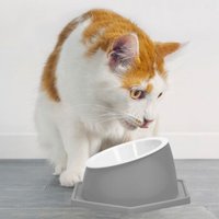 nobleza - Gesundheits Futternapf für Katzen - Waschbar & Abnehmbar grau von nobleza