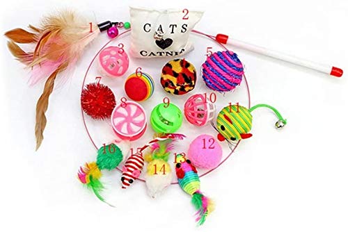 Nobranded Katzenfeder-Spielzeug für Kätzchen, interaktives Spielzeug, 16 Stück von nobranded