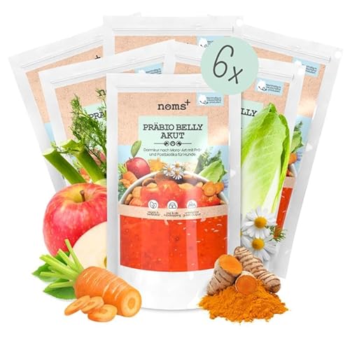 noms+ Präbio Belly Akut Topping für Hunde | 6X 200g | Pflanzliche Schonkost bei Magen-Darm-Beschwerden | mit Karotte nach Moro-Art | Präbiotika für eine gesunde Darmflora - Ready to eat noms+ Präbio Belly Akut Topping für Hunde | 6X 200g | Pflanzliche Schonkost bei Magen-Darm-Beschwerden | mit Karotte nach Moro-Art | Präbiotika für eine gesunde Darmflora - Ready to eat von noms+