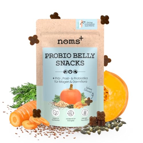 noms+ Probio Belly Snacks für Hunde | Unterstützung der Darmflora mit Präbiotika, Probiotika & Postbiotika | vegan & allergikerfreundlich | Gras und Kotfresser | bei Durchfall, Grasfressen, Sodrennen noms+ Probio Belly Snacks für Hunde | Unterstützung der Darmflora mit Präbiotika, Probiotika & Postbiotika | vegan & allergikerfreundlich | Gras und Kotfresser | bei Durchfall, Grasfressen, Sodrennen von noms+