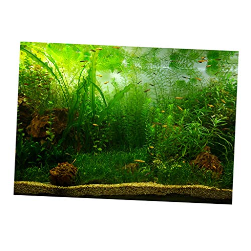 non-brand Baoblaze Aquarium Hintergrund selbstklebend Fotorückwand, Wasserpflanzen, 122x61cm von non-brand