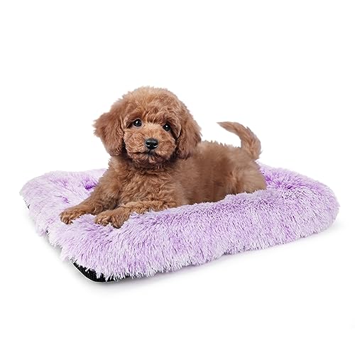 61 cm Hundekäfig Bett für kleine Hunde, waschbar, orthopädisch, flach für Innenkäfige, Käfige, Zwinger, Haus, Sofa, Plüsch, bequem, Schlafen 61 cm Hundekäfig Bett für kleine Hunde, waschbar, orthopädisch, flach für Innenkäfige, Käfige, Zwinger, Haus, Sofa, Plüsch, bequem, Schlafen von nononfish