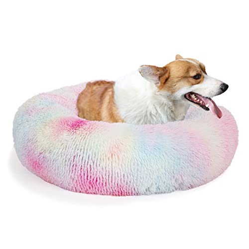 Beruhigendes Bett für Hunde 30 Zoll Hundebetten für mittelgroße Hunde waschbar Anti-Angst Hundebetten für mittelgroße Hunde Beruhigendes Bett für Hunde 30 Zoll Hundebetten für mittelgroße Hunde waschbar Anti-Angst Hundebetten für mittelgroße Hunde von nononfish