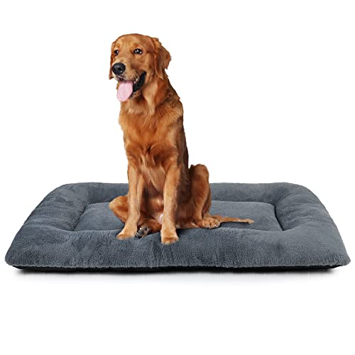nononfish Hundebox-Matte, waschbar, 122,9 cm, extra groß, hält Haustiere von Möbeln fern, Hundematten zum Schlafen, für Hundekäfige, Zwingermatte, gemütlich, weich, XXL, Dunkelgrau nononfish Hundebox-Matte, waschbar, 122,9 cm, extra groß, hält Haustiere von Möbeln fern, Hundematten zum Schlafen, für Hundekäfige, Zwingermatte, gemütlich, weich, XXL, Dunkelgrau von nononfish