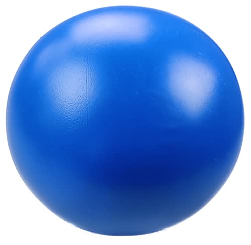 norrun Hundeball Hundespielzeug Treibball Hundespielball Antistreßball auch für Pferde und Ferkel geeignet (ø 26 cm, Blau) von norrun