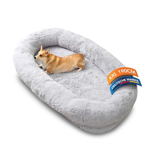 noviclass® Hundebett XXL 190cm | Extrem Komfortables Hundebett für Menschen | Für Grosse Hunde | Memory-Foam Orthopädische Matratze | Mit Decke und Kissen | Waschbar von noviclass