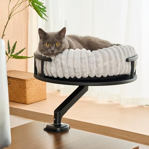 noviclass® Katzenbett LEVI | Katzenbett Schreibtisch | Katzenplattform | Für Tische und Fenstersims | Inkl. 2 Betten | Cord-Design Grau | Robust und modern (Schwarz) von noviclass