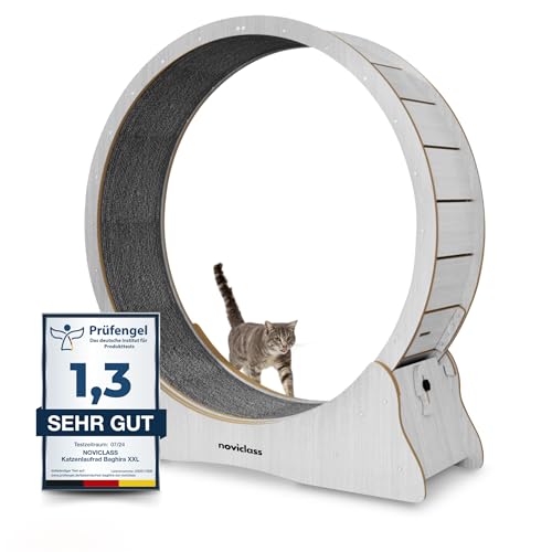 noviclass® Katzenlaufrad Baghira Groß | 120 cm Innendurchmesser Artgerecht für Katzen | Laufrad für Katzen | Kratzfest, stabil und leise | Robust und mit Deutscher Anleitung (Hellgrau) von noviclass