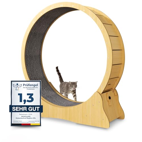 noviclass® Katzenlaufrad Baghira Groß XXL | 132cm Durchmesser Artgerecht für große Katzen | Laufrad für Katzen | Kratzfest, stabil und leise | Geprüfte Qualität und mit Deutscher Anleitung (Holz) von noviclass