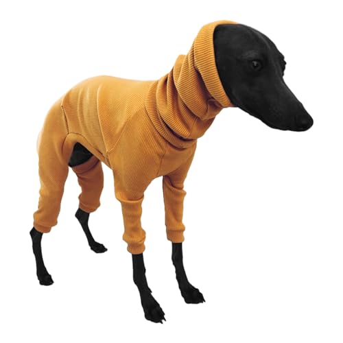 nuanzhiyuan Einfarbiger Hundepullover für kleine bis große Hunde, winddicht für den Winter und draußen nuanzhiyuan Einfarbiger Hundepullover für kleine bis große Hunde, winddicht für den Winter und draußen von nuanzhiyuan
