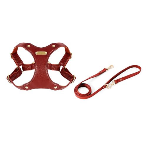 nuanzhiyuan Hundegeschirr für kleine Hunde, Lederweste, Geschirr, Outdoor-Trainingsweste, Geschirr, verstellbare Weste für Hunde und Haustiere von nuanzhiyuan