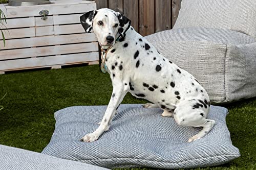 oKu-Tex Rugs & Seats Outdoor Hundekissen DogSeat, große Hunde, kleine Hunde, Innen und Außen, Wasserfest, Hundebett, gepolsterte Hundematte, grau, 80 x 100 cm, strapazierfähig & pflegeleicht von oKu-Tex