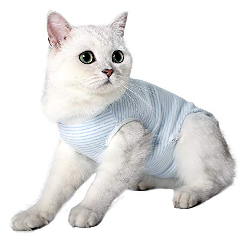Cat Wound Surgery Recovery Suit for Abdominal Wounds or Skin Diseases, After Surgery Wear, Pajama Suit, E-Collar Alternative for Cats and Dogs (L, Stripe Blue) von oUUoNNo