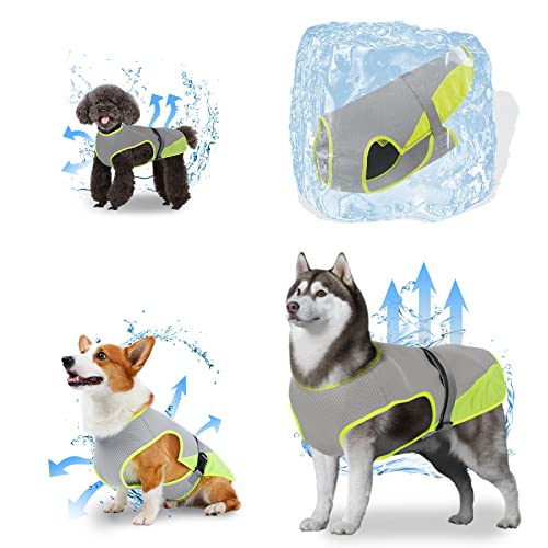 oUUoNNo Kühlweste für Hunde, Kühlweste für Hunde, Kühljacke, Haustier-Kühlweste, atmungsaktives Netzgewebe, verstellbare Träger, Kühlweste für kleine, mittelgroße und große Hunde (groß, grau) von oUUoNNo