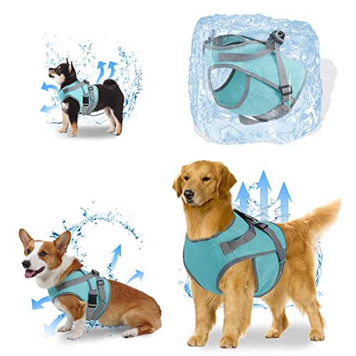 oUUoNNo Kühlendes Hundegeschirr, Hunde-Kühlweste mit D-Ring, atmungsaktive Netz-Hundejacke mit verstellbaren Riemen für Outdoor-Camping, Spazierengehen, Training (L, Blau) von oUUoNNo