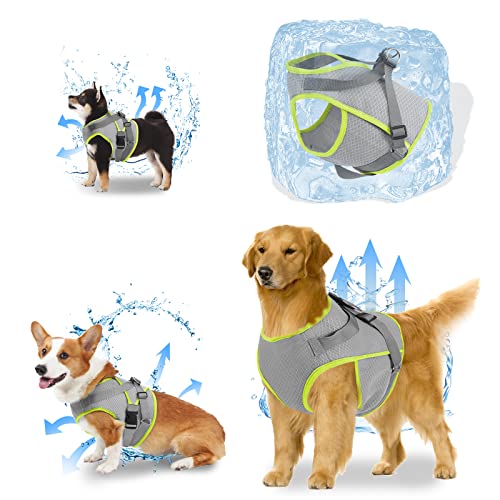 oUUoNNo Kühlendes Hundegeschirr, Hunde-Kühlweste mit D-Ring, atmungsaktive Netz-Hundejacke mit verstellbaren Riemen für Outdoor-Camping, Spazierengehen, Training (L, grau) von oUUoNNo