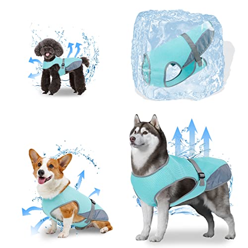 oUUoNNo Hunde-Kühlweste, Kühlweste für Hunde, kühlende Jacke, Haustier-Kühlweste, atmungsaktives Netz-Eisweste, verstellbare Träger, Coole Weste für kleine, mittelgroße und große Hunde (L, Blau) von oUUoNNo