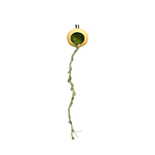 objbhuely Springspinnengehege - Magnetische Versteckhöhle für springende Spinnen | Versteck Haus Zubehör für Arthropoden Tausendfüßler Geckos Schopfgeckos kleine Reptilien objbhuely Springspinnengehege - Magnetische Versteckhöhle für springende Spinnen | Versteck Haus Zubehör für Arthropoden Tausendfüßler Geckos Schopfgeckos kleine Reptilien von objbhuely