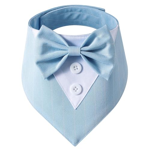 ohodhmnu Elegantes Halsband für Hunde und Katzen, mit Fliege, Halstuch, Anzugkragen, Halskette, Halsband für große Mädchen ohodhmnu Elegantes Halsband für Hunde und Katzen, mit Fliege, Halstuch, Anzugkragen, Halskette, Halsband für große Mädchen von ohodhmnu