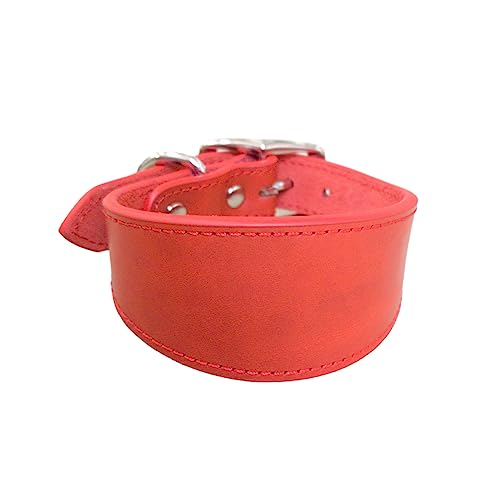 ohodhmnu Leathers Hundehalsband, weich gepolstert, für Whippets, Salukis, Windhunde, verstellbares Halsband für große Rassen ohodhmnu Leathers Hundehalsband, weich gepolstert, für Whippets, Salukis, Windhunde, verstellbares Halsband für große Rassen von ohodhmnu