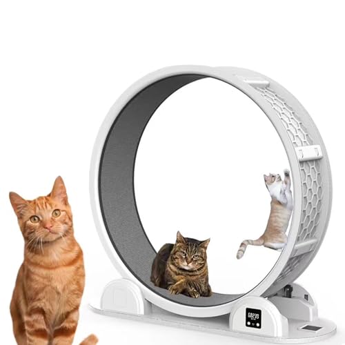 Katzenlaufrad, Katzenübungsräder, Intelligentes Haustierkatzenlaufband, Solaraufladung, Schrittzählerfunktion, Katzengewichtskontrollgerät, Mit Teppichboden, Perfekt Für Ihre Energiegeladene Katze Katzenlaufrad, Katzenübungsräder, Intelligentes Haustierkatzenlaufband, Solaraufladung, Schrittzählerfunktion, Katzengewichtskontrollgerät, Mit Teppichboden, Perfekt Für Ihre Energiegeladene Katze von oiakus