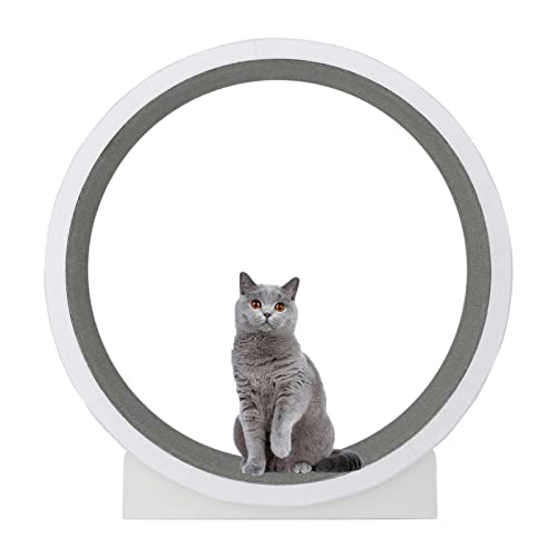 Laufband für Katzen, Laufrad für Haustiere, Laufrad für Haustiere, leises Laufband für Haustiere, Klettergerüst für Katzen, Gewichtsverlust, Sportspielzeug für kleine/mittelgroße Hunde Laufband für Katzen, Laufrad für Haustiere, Laufrad für Haustiere, leises Laufband für Haustiere, Klettergerüst für Katzen, Gewichtsverlust, Sportspielzeug für kleine/mittelgroße Hunde von oiakus