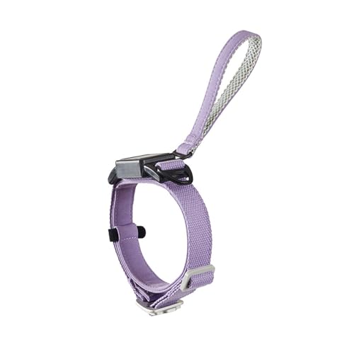 Kragen Und Einziehbarer Leinenweichanzug Für Gehen Automatisch Hundekragen Haustierkragen Mit Kabel Kragen Und Einziehbarer Leinenweichanzug Für Gehen Automatisch Hundekragen Haustierkragen Mit Kabel von omiinitio