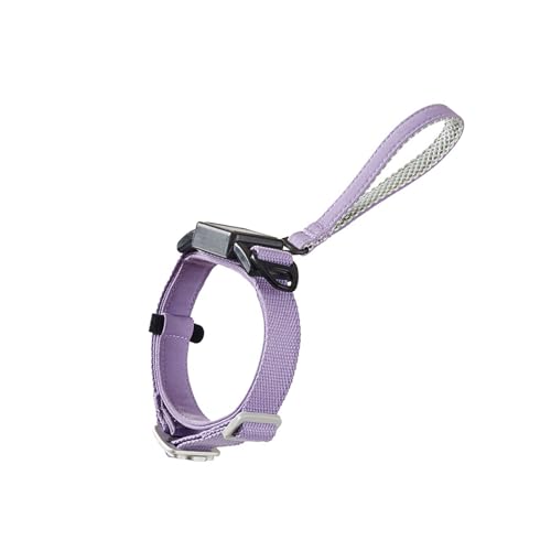 Kragen Und Einziehbarer Leinenweichanzug Für Gehen Automatisch Hundekragen Haustierkragen Mit Kabel Kragen Und Einziehbarer Leinenweichanzug Für Gehen Automatisch Hundekragen Haustierkragen Mit Kabel von omiinitio