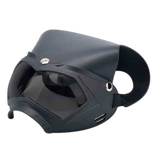 omiinitio Windschutzhunde Schatten Für Kleine Bis Große Hunde Haustiergläser Für Snow Beach Outdoor Snow Sports Auge Tragen Sommerhundsonnenschutz omiinitio Windschutzhunde Schatten Für Kleine Bis Große Hunde Haustiergläser Für Snow Beach Outdoor Snow Sports Auge Tragen Sommerhundsonnenschutz von omiinitio