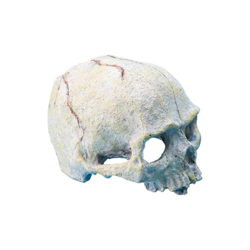 omiinitio Harzschädel Reptilien Schutzhöhle Terrarien Accessoires Für Amphibien Bärtige Drachen Schlange Versteck Höhle Höhle von omiinitio