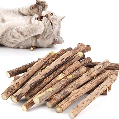 Onebarleycorn Katzenminze Sticks für Katzen, Matatabi Stick Katze Sticks Spielzeug Matabi katzensticks Katzenspielzeug für Zahnpflege,20 Stück von onebarleycorn